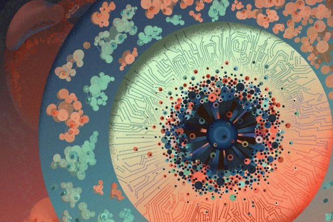 教育部：确立220所第二期“双高”建设学校